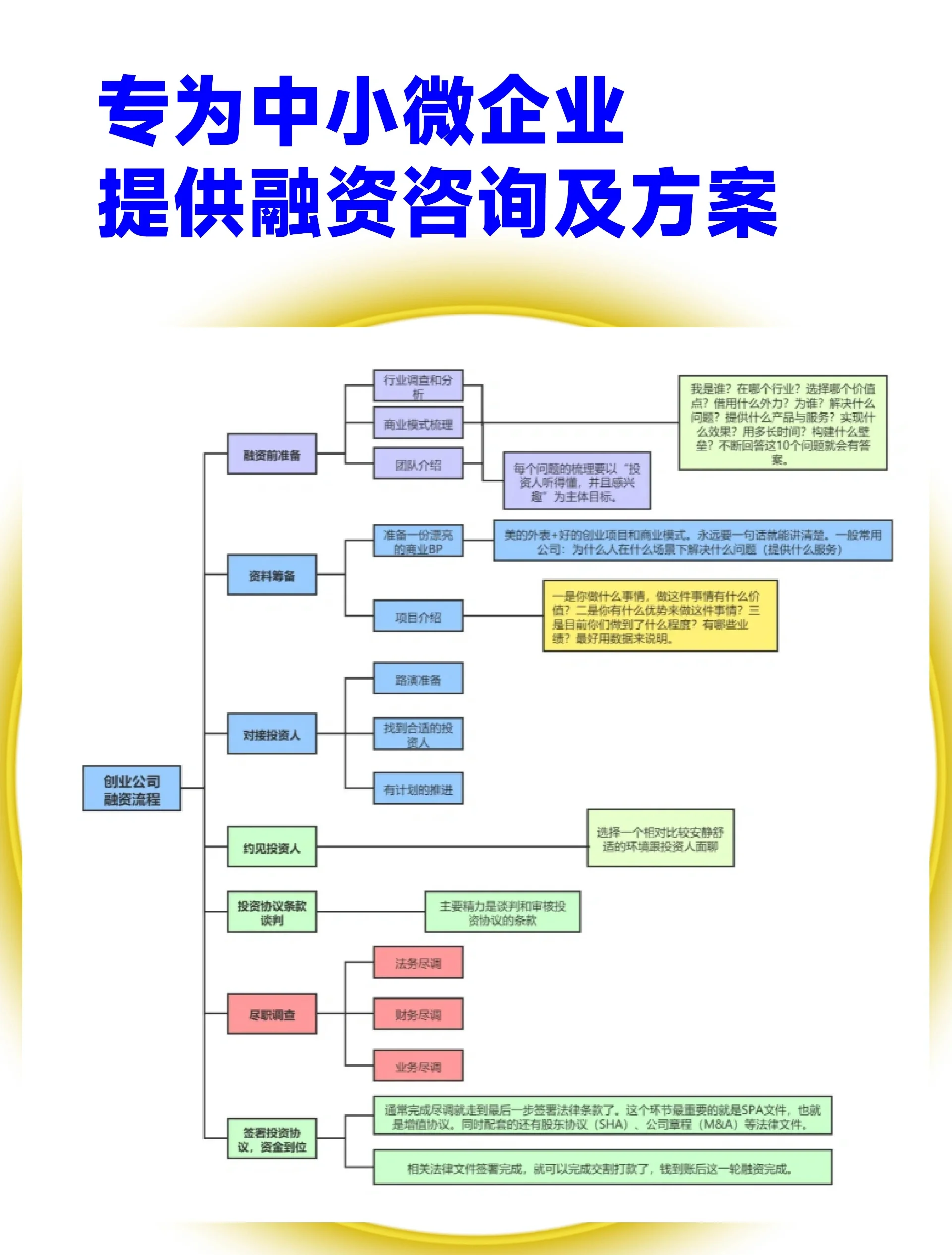 岳阳市宠物企业资金管理(宠物管理机构叫什么)