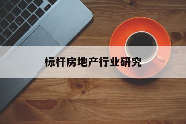 岳阳市标杆房地产行业研究(房地产领域的标杆人物)