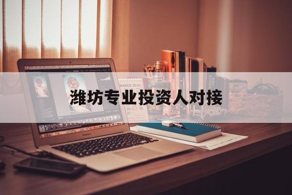 岳阳市潍坊专业投资人对接(潍坊专业投资人对接中心)