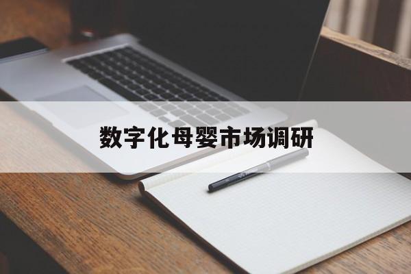 岳阳市数字化母婴市场调研(数字化母婴市场调研报告)