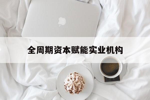 岳阳市全周期资本赋能实业机构(全周期管理)